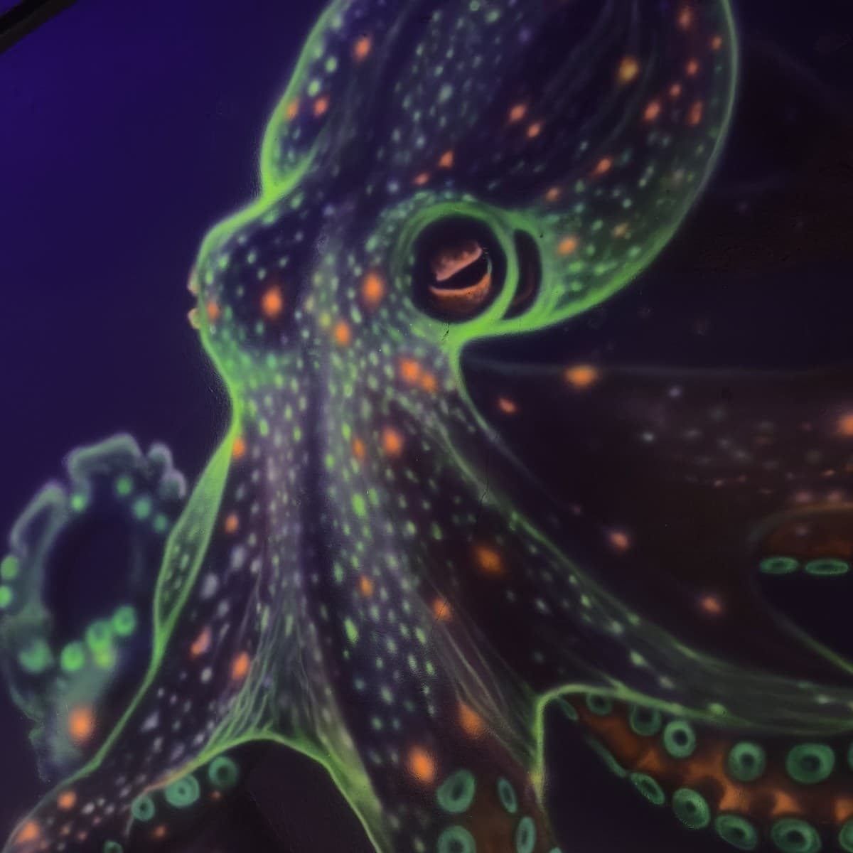 UV blacklight octopus mural artwork