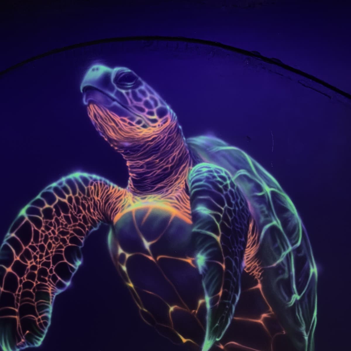 UV blacklight sea turtle mural