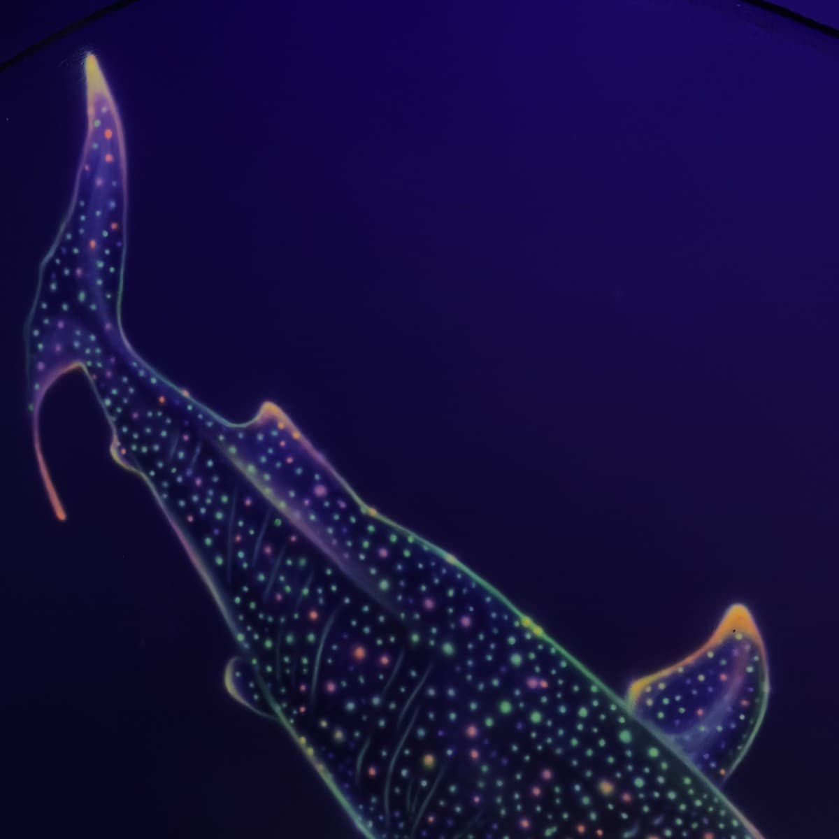 UV blacklight whale shark mural