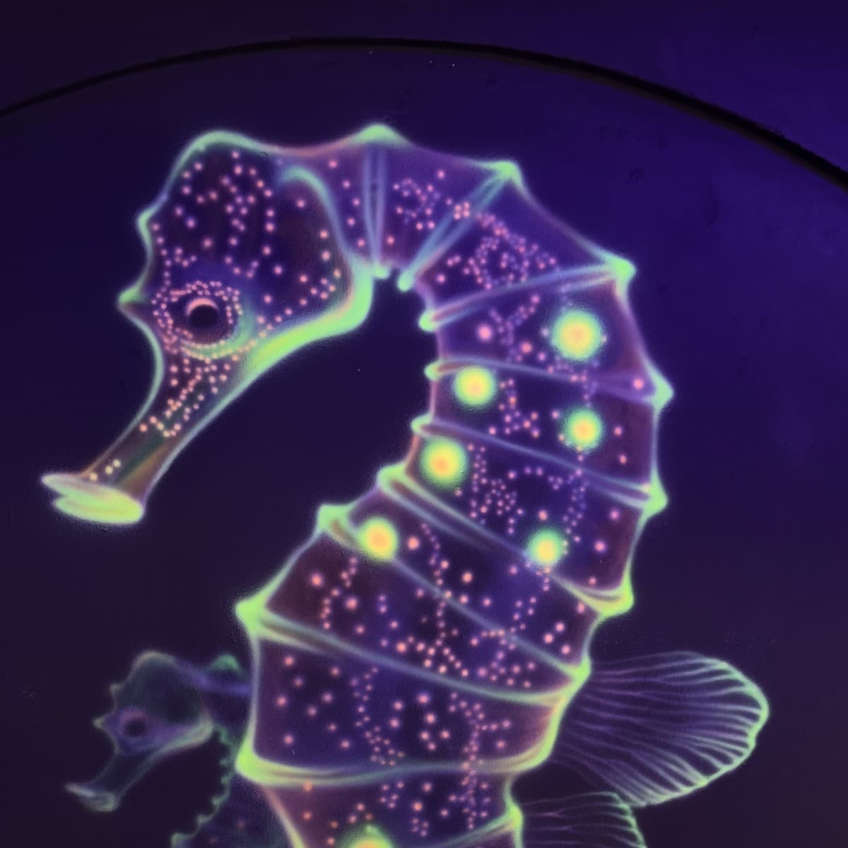 UV blacklight seahorses mural